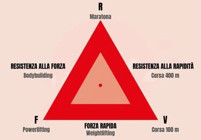 Immagine che contiene testo, Carattere, triangolo, linea

Descrizione generata automaticamente