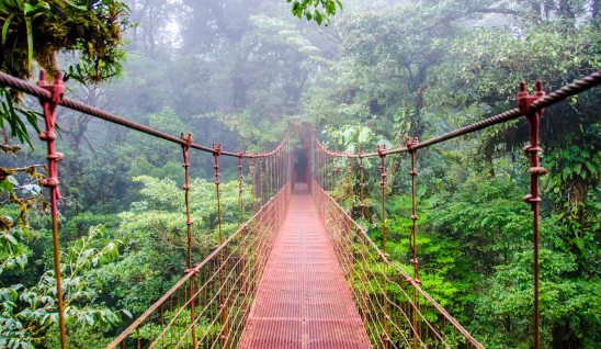 bridge through Monteverde Cloud Forest