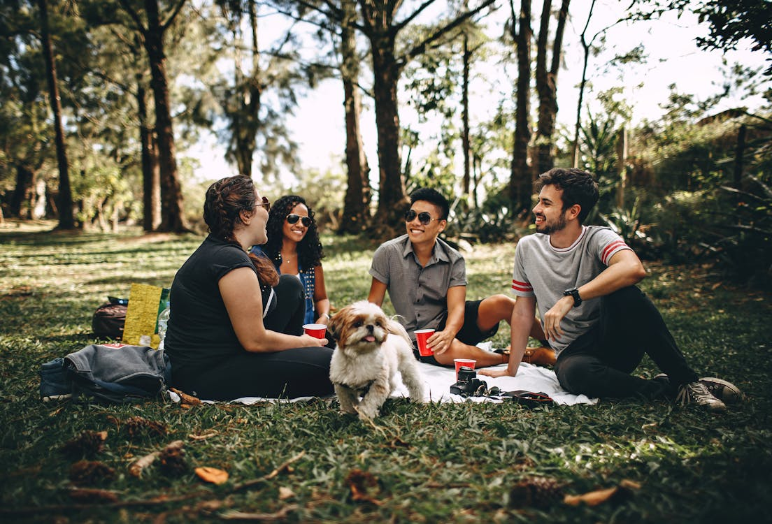 friends and a dog having a picnic
