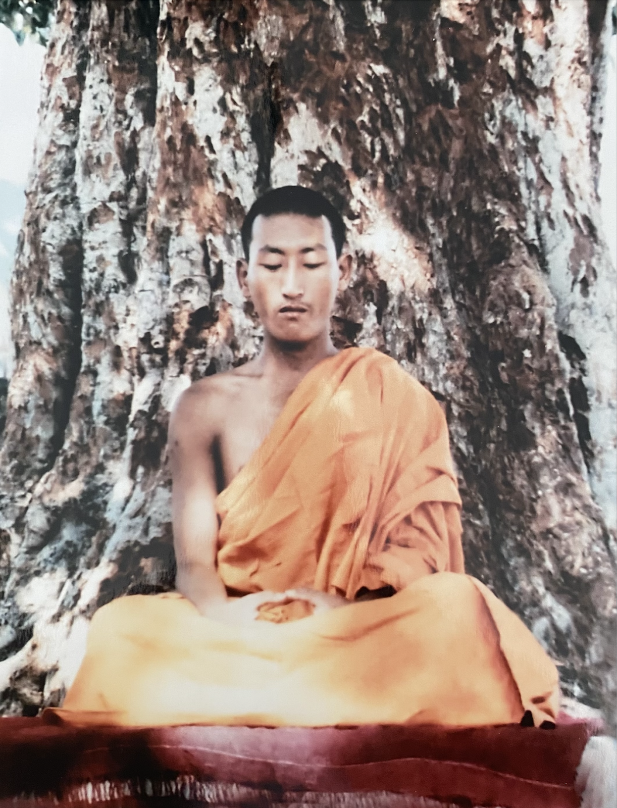 Khachab Rinpoche under the bodhi tree.