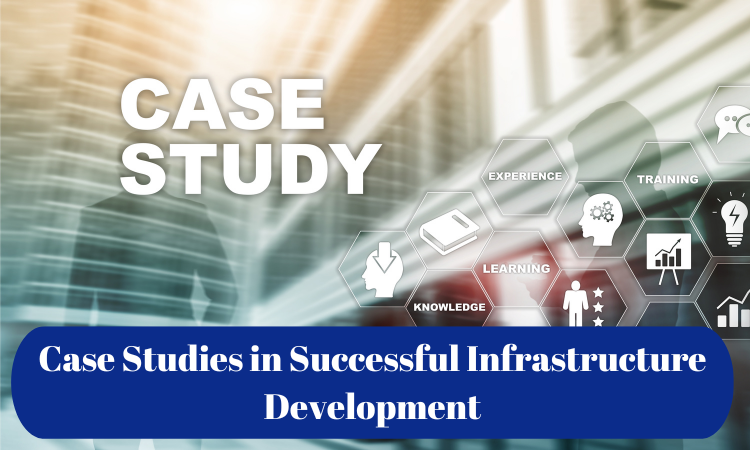Case Studies in Successful Infrastructure Development