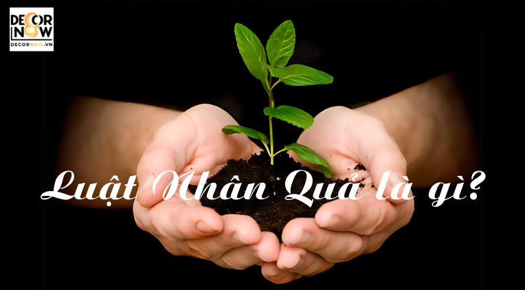 Luật nhân quả là gì