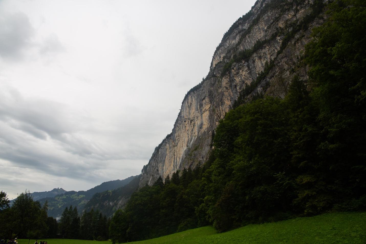 A green field with trees and a cliff

Description automatically generated