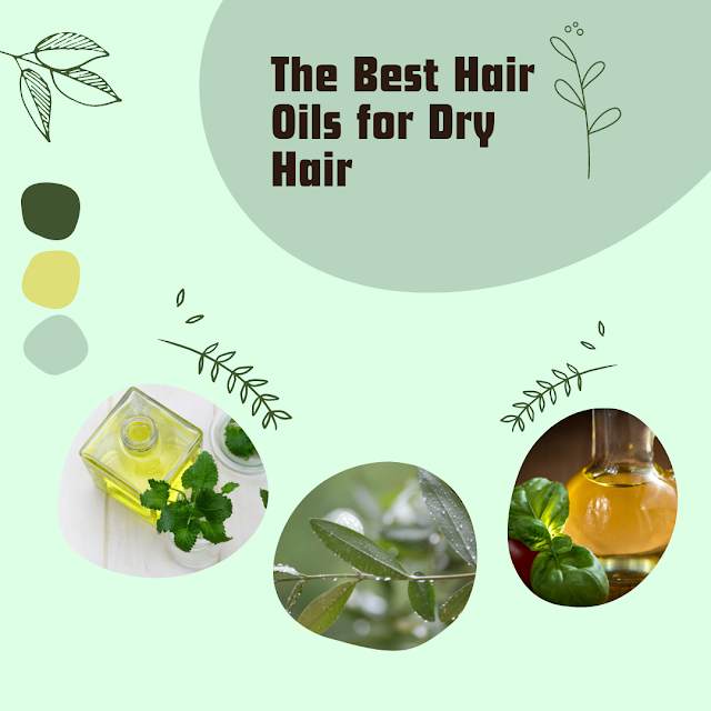 The Best Hair Oils for Dry Hair: Sustenance from Nature