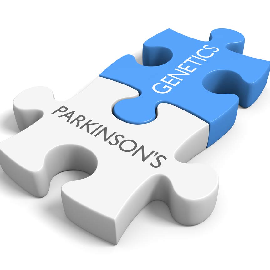 Two puzzle pieces joined together representing parkinson's and genetics