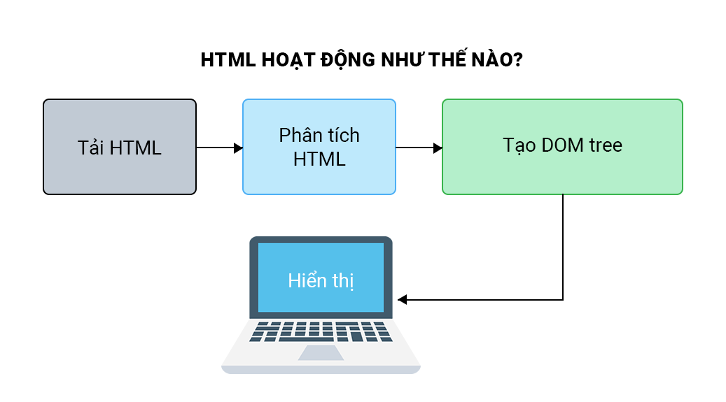 Cách HTML hoạt động.