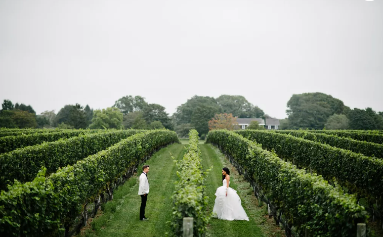 Bride and groom standing face to face in the vineyard at Wölffer Estate 