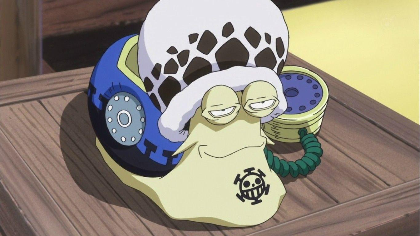 What is Den Den Mushi in One Piece?