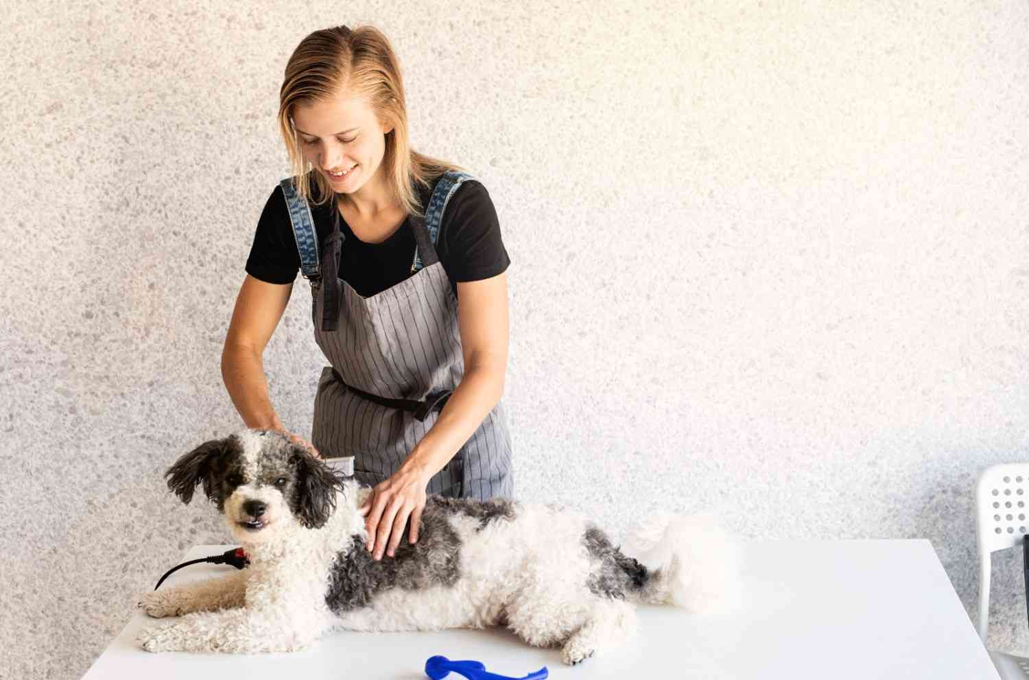 Pet grooming clearance locations