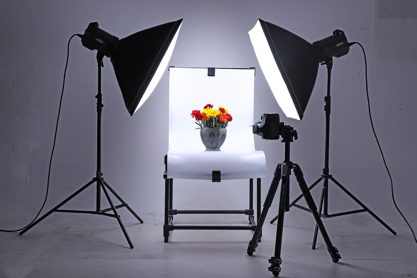 Beautiful Light: Creating and Using a Soft Lightbox for Photography image 2