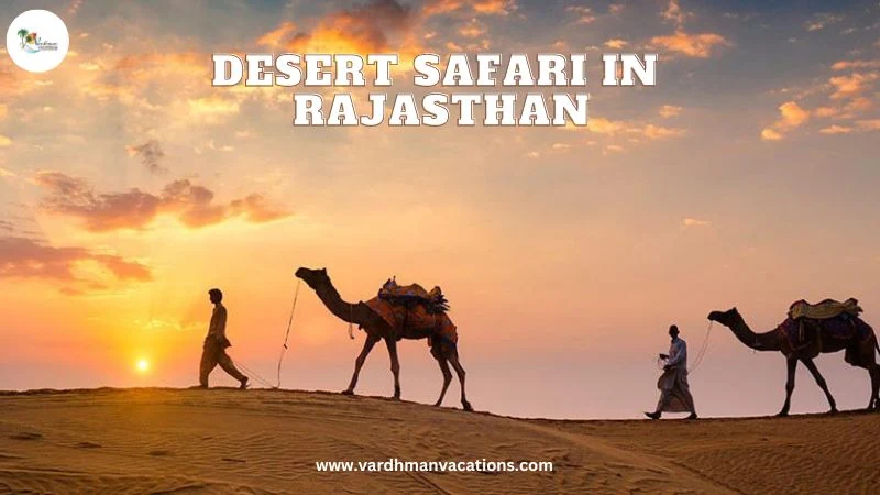 Desert Safari In Rajasthan