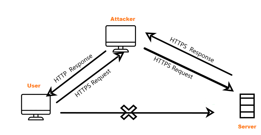 HTTPS Spoofing 