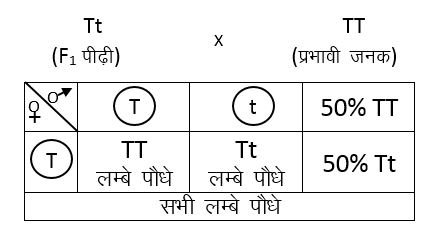 संकरपूर्वज संकरण