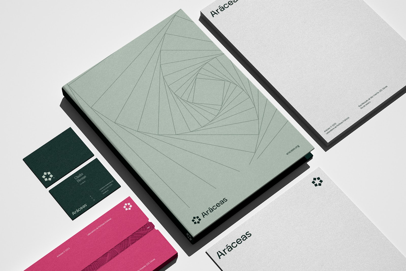 Artifact from the Aráceas Branding & Visual Identity in Academia article on Abduzeedo