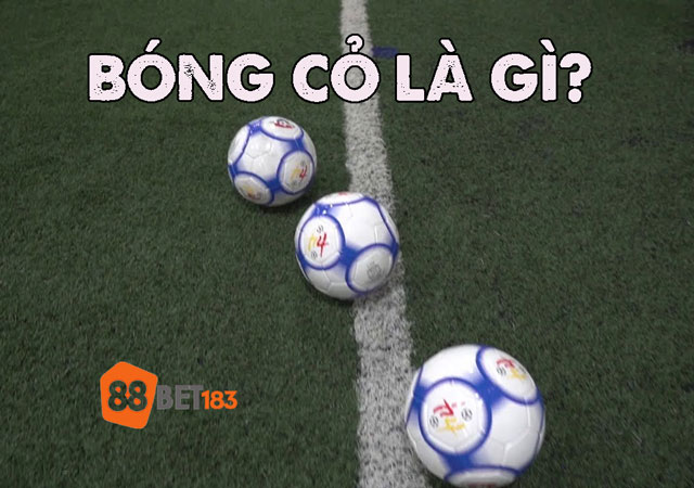 Tăng Cơ Hội Chiến Thắng Với Bóng Cỏ Tại 88bet 183