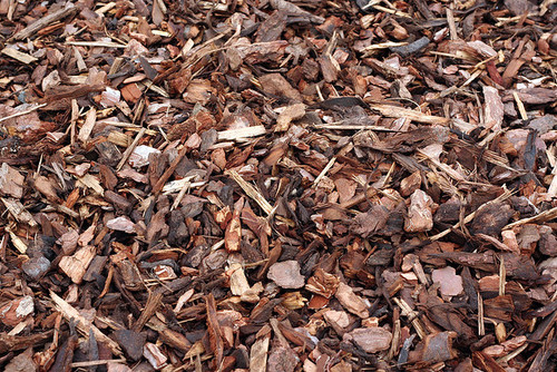  Use mold-resistant mulch