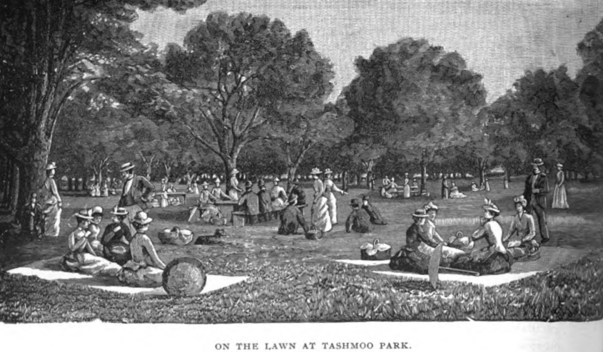 The Lawn at Tashmoo Park