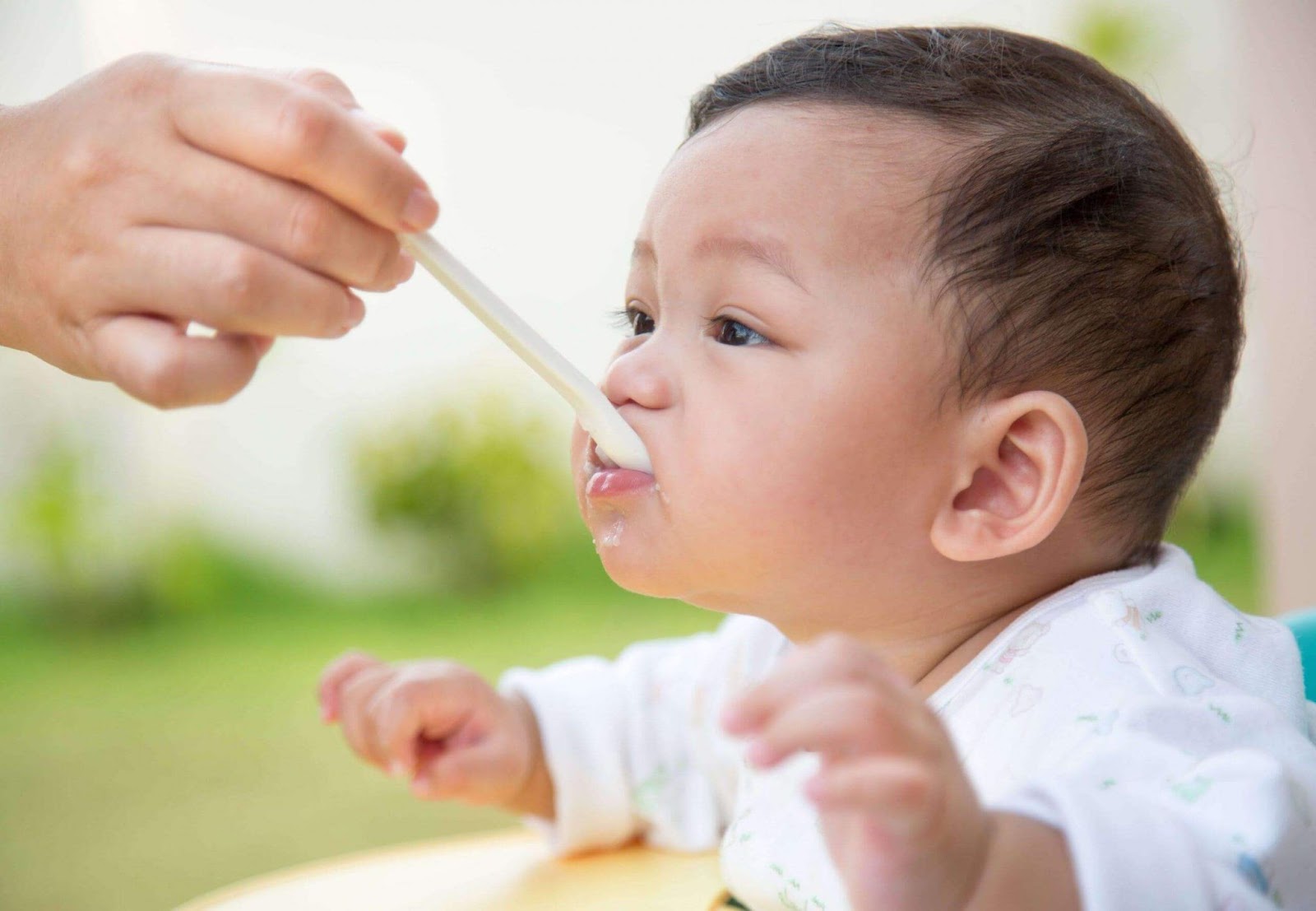 Cho bé ăn cháo tươi gà ác đậu xanh