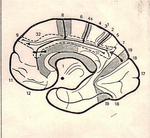 10-05-2014 07;28;40.jpg