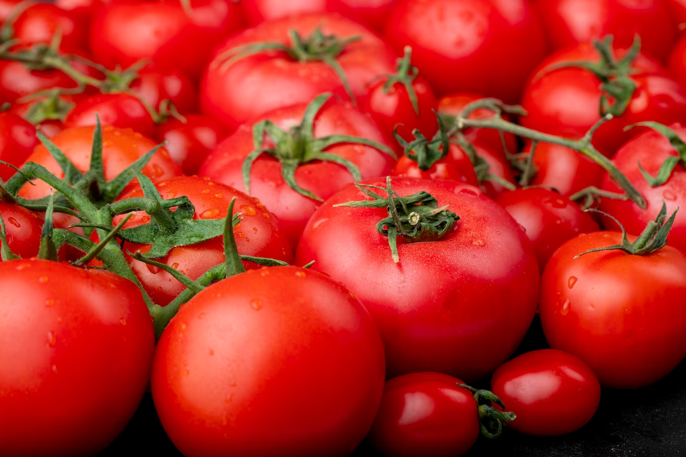 Come mantenere i pomodori freschi?