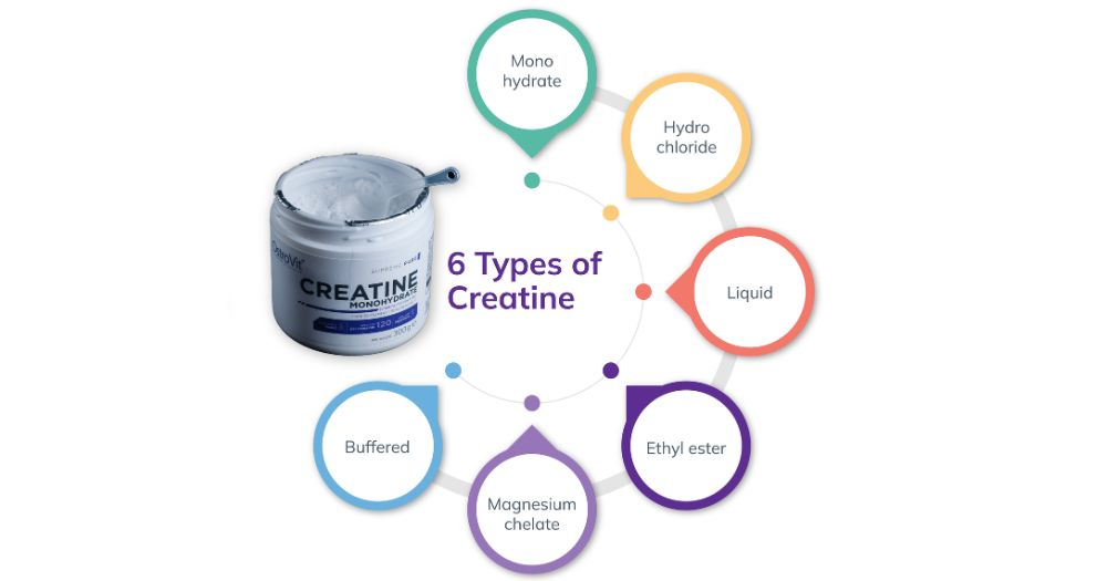  types of creatine powder
