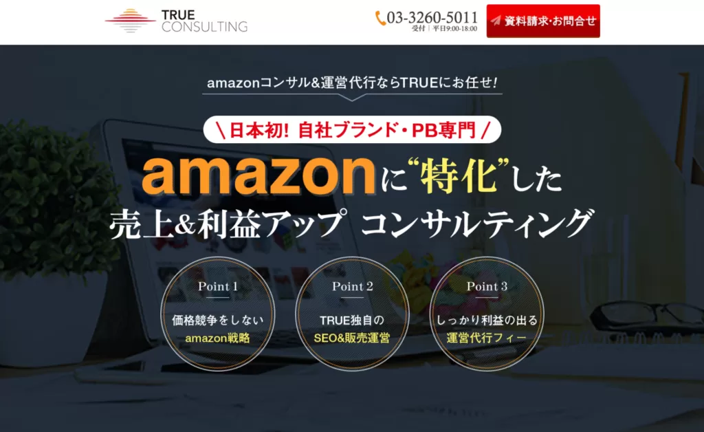 Amazon コンサルティング トゥルーコンサルティング株式会社 評判 口コミ