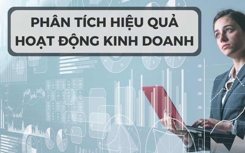 Phân tích hiệu quả hoạt động kinh doanh của công ty