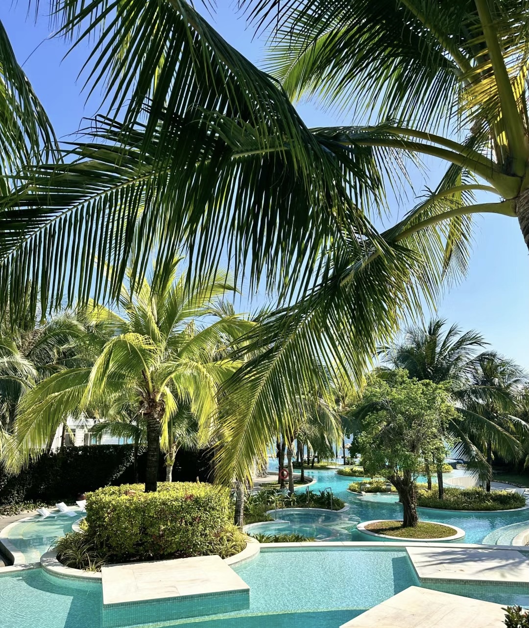 #🇻🇳越南富國島 （泡泥漿浴+泰迪熊博物館）