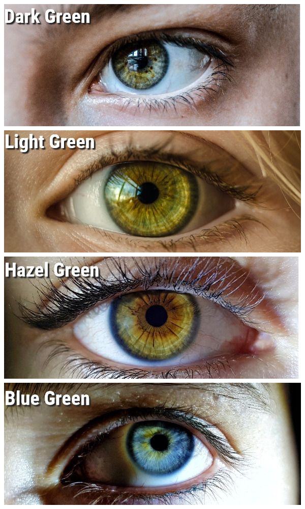 a picture showing the different shades of green eyes