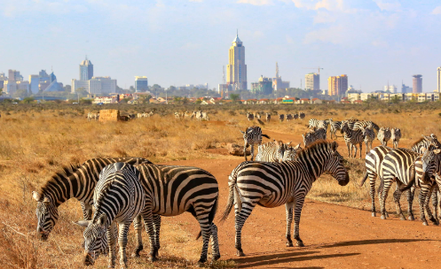 Nairobi events kenya