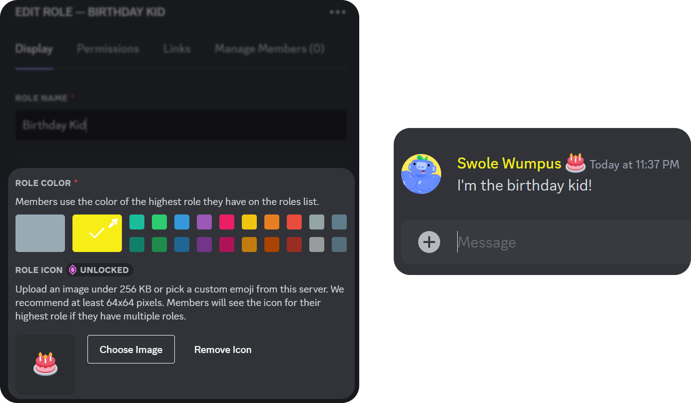 The role color and icon setting in the Roles section of a Discord server and an example of a user with the customized role