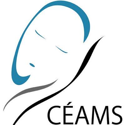Résultats de recherche d'images pour « ceams »