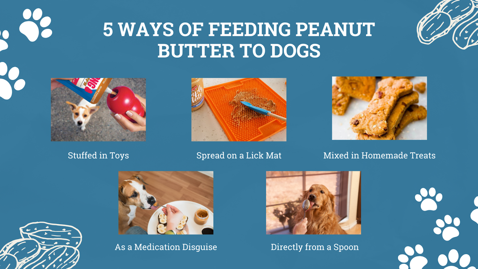 Feeding peanut butter to dogs