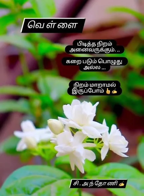 Tamil Kavithaigal