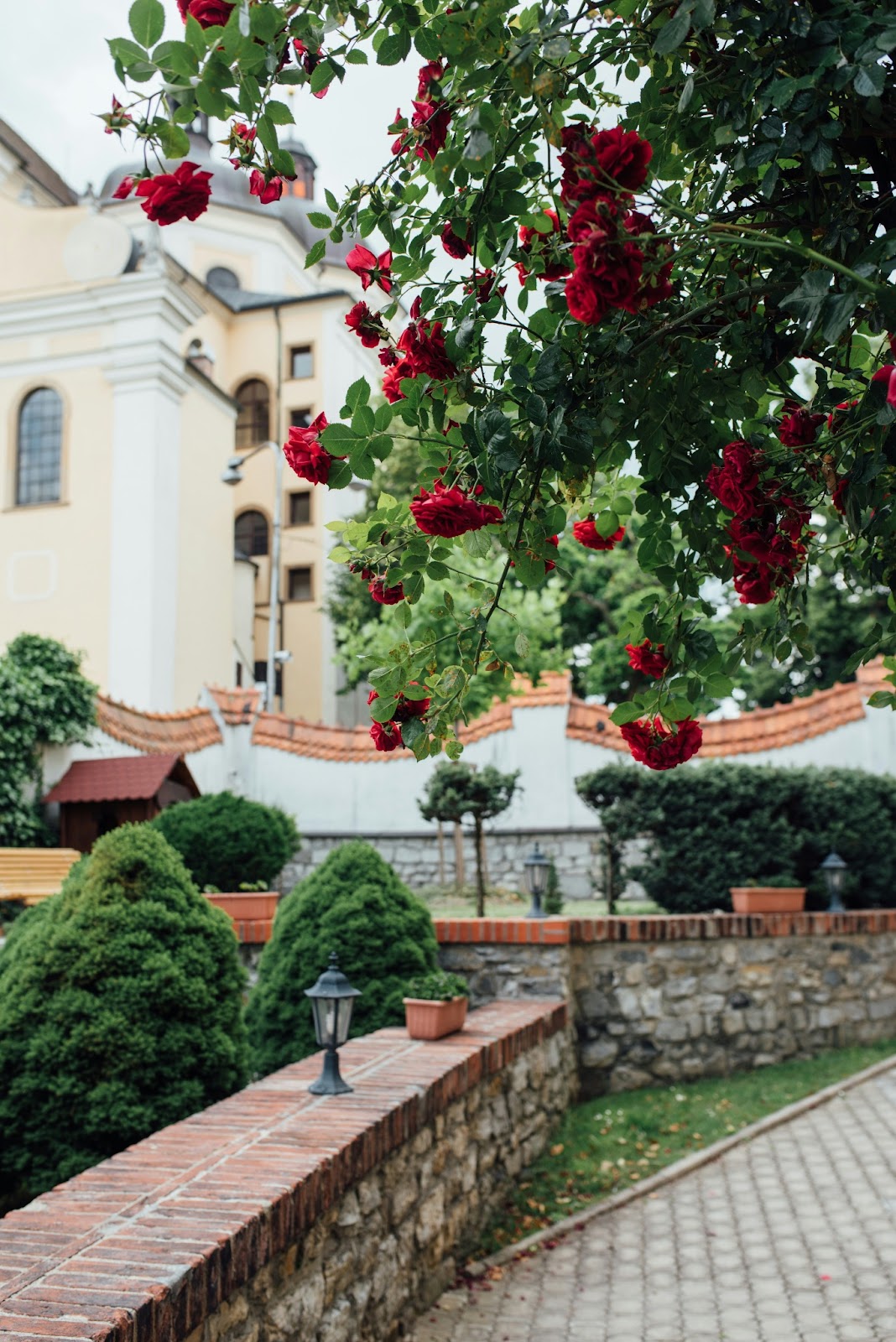 A picturesque view of the manicured gardens and rose bushes surrounding Konopiště Castle. 