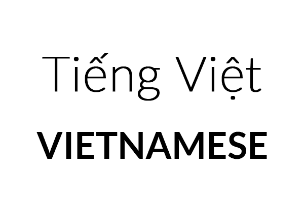 Vietnamese translation button