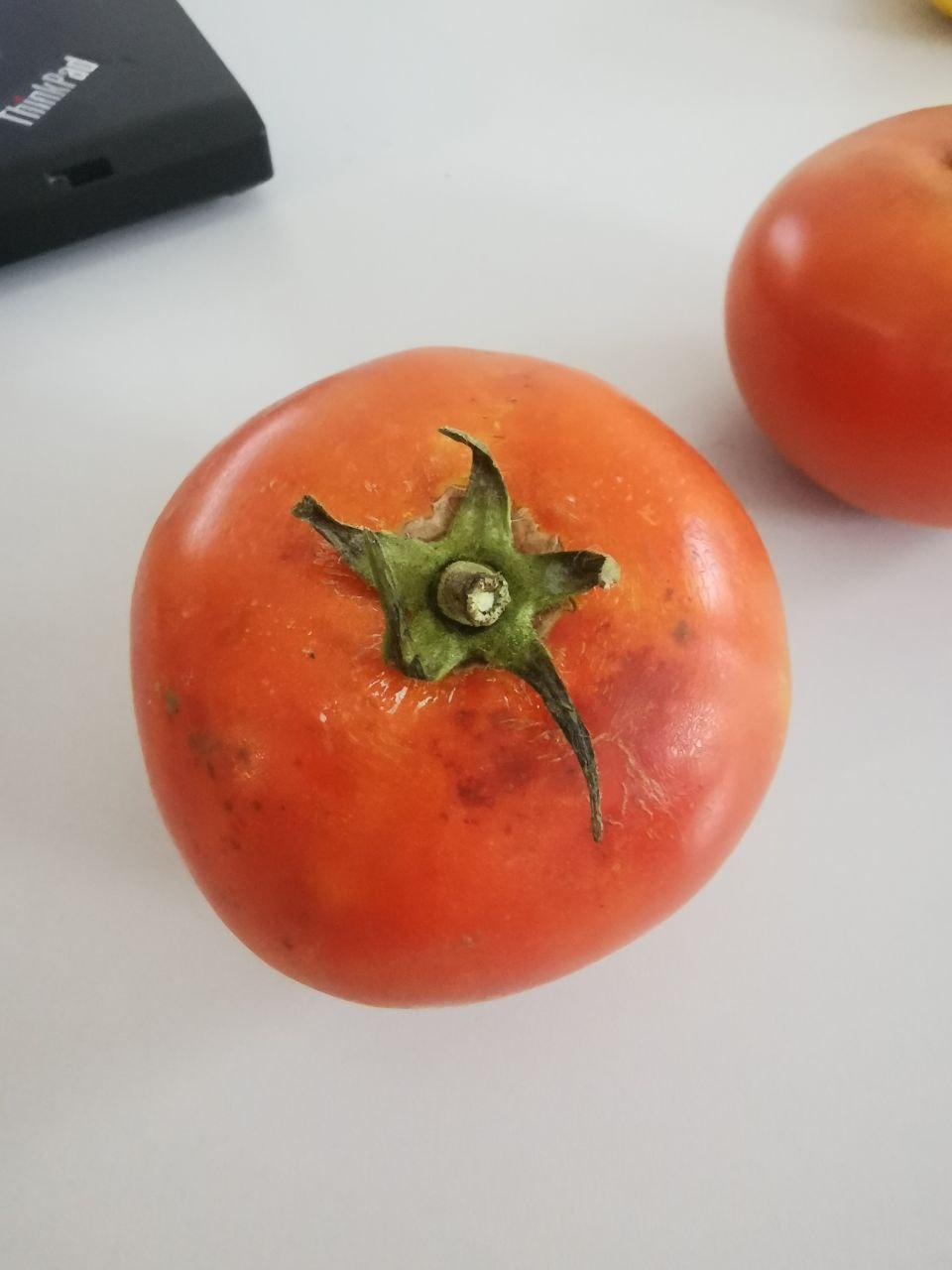 A tomato on a white surface

Description automatically generated