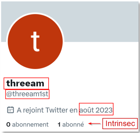 X account that belongs to the ThreeAM ransom group (Source - Intrinsec)