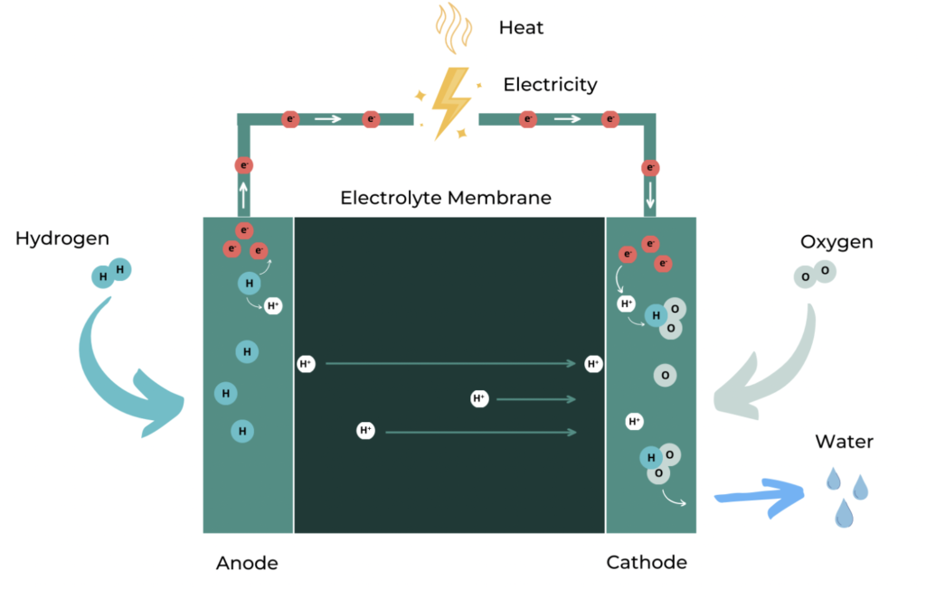 How does a fuel cell work ? - INOCEL