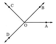 ncert solution for class 6 maths Understanding Elementary Shapes