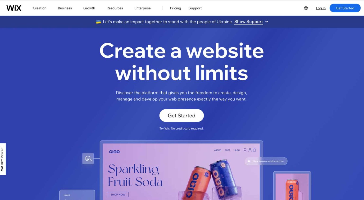 Wix vs WordPress: Which One Is Best for You in 2025?