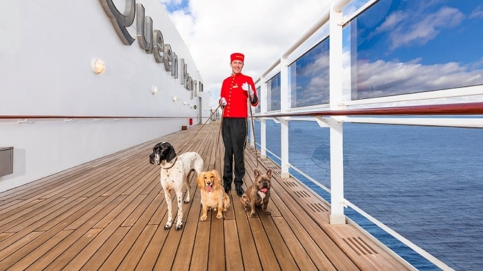 Can You Take a Dog On a Cruise?