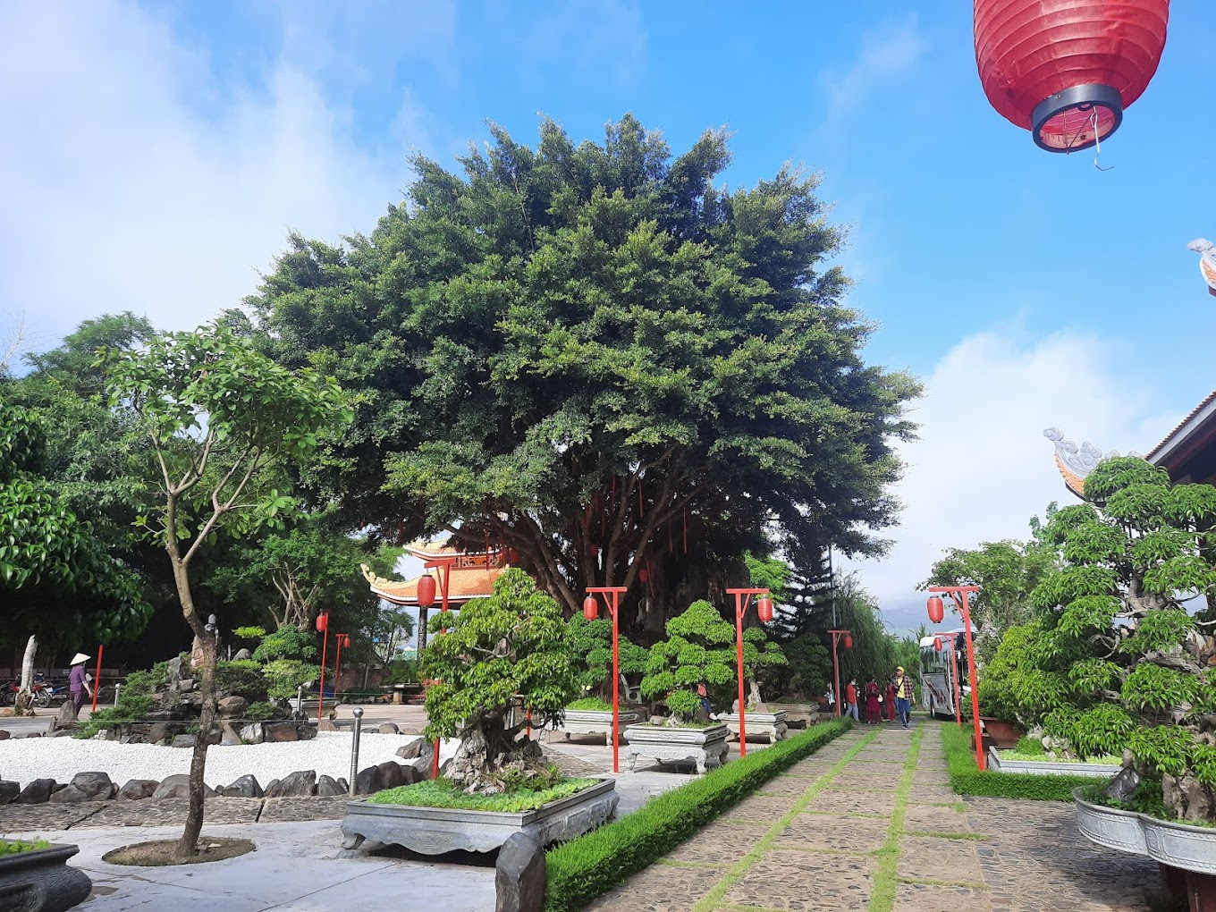 Khuôn viên chùa xanh mát với những cây bonsai độc đáo