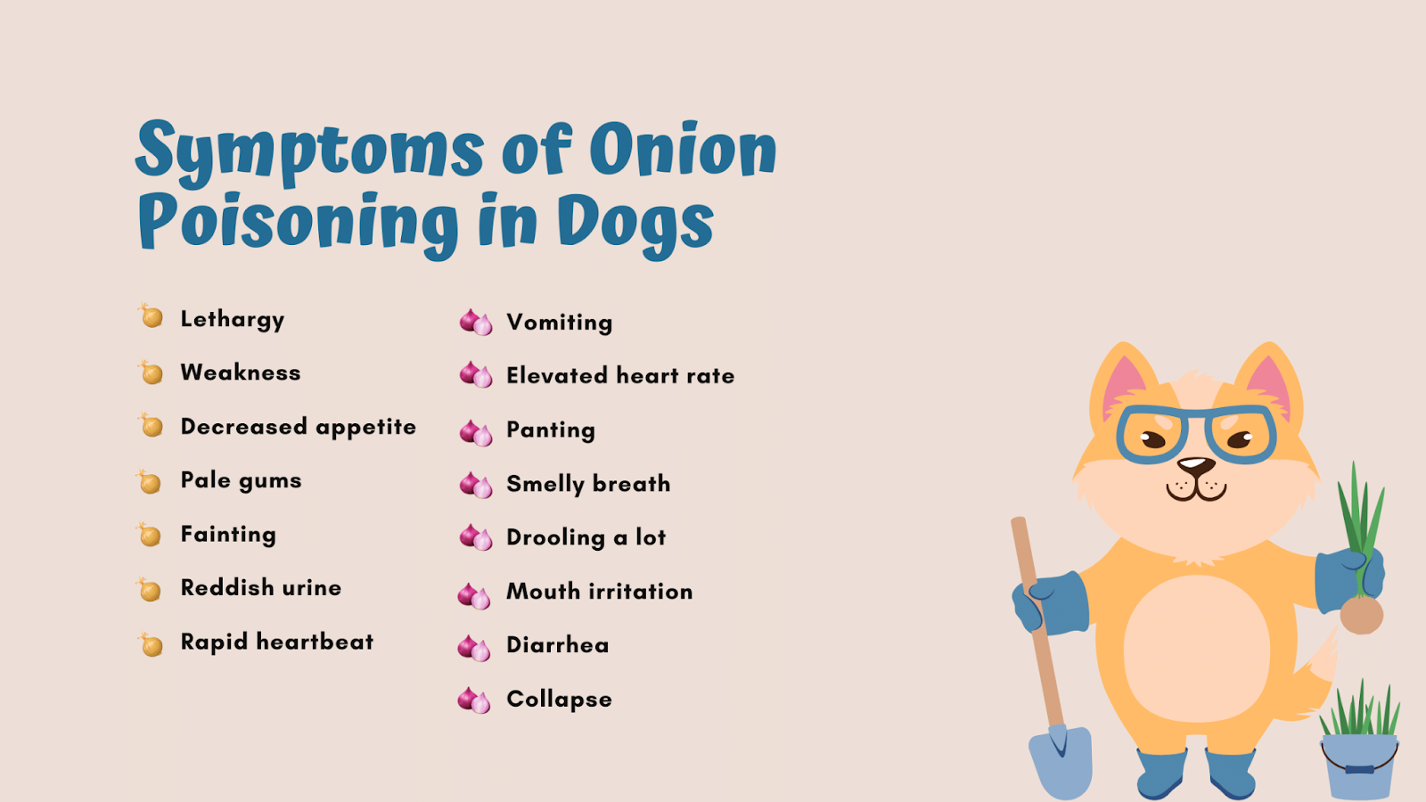 Symptoms onion poisoning in dogs