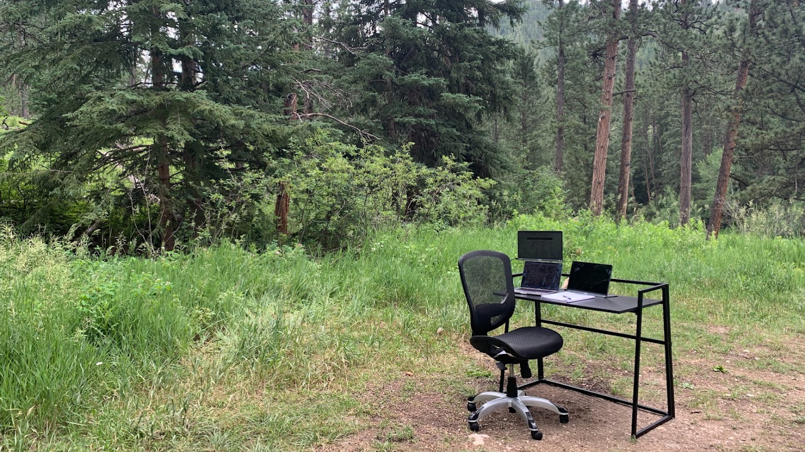 我有时会把办公桌搬到户外，在大自然中工作。
