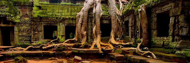 Ta Prohm temple, Cambodia