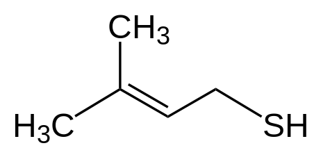 3-Methyl-2-butene-1-thiol