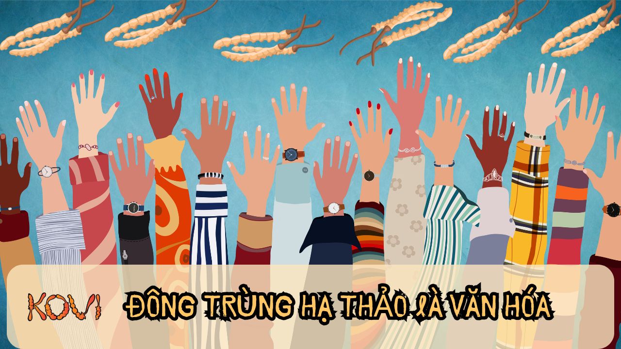 Đông trùng hạ thỏa là văn hóa