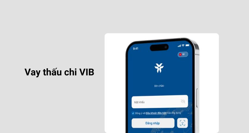 Vay thấu chi VIB