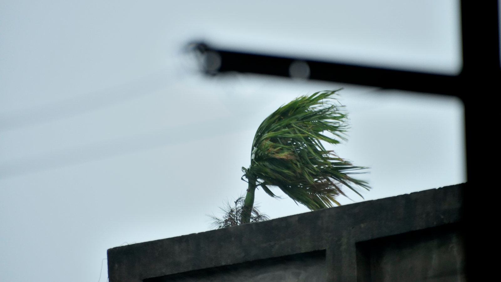 la saison des cyclones en Martinique